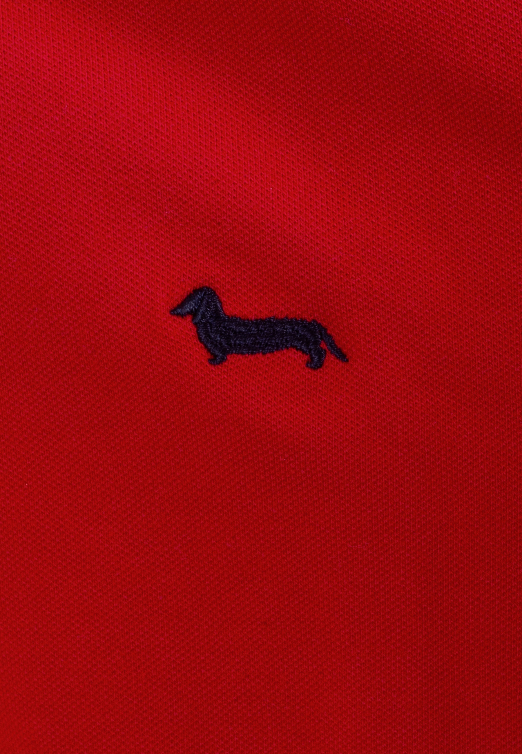 Camiseta Polo Roja H&B.