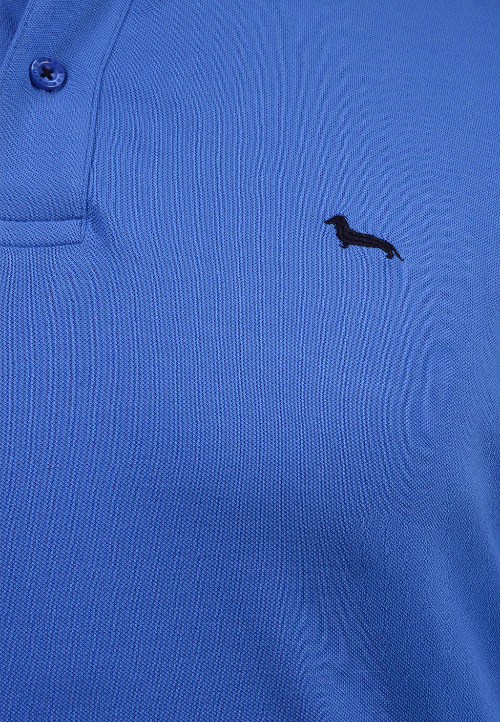 Camiseta Azul Celeste H&B