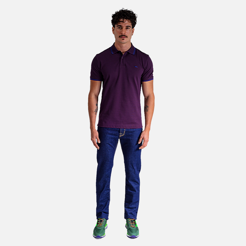 CAMISETA POLO HARMONT & BLAINE MORADO ALGODON (LNM010021148-588)