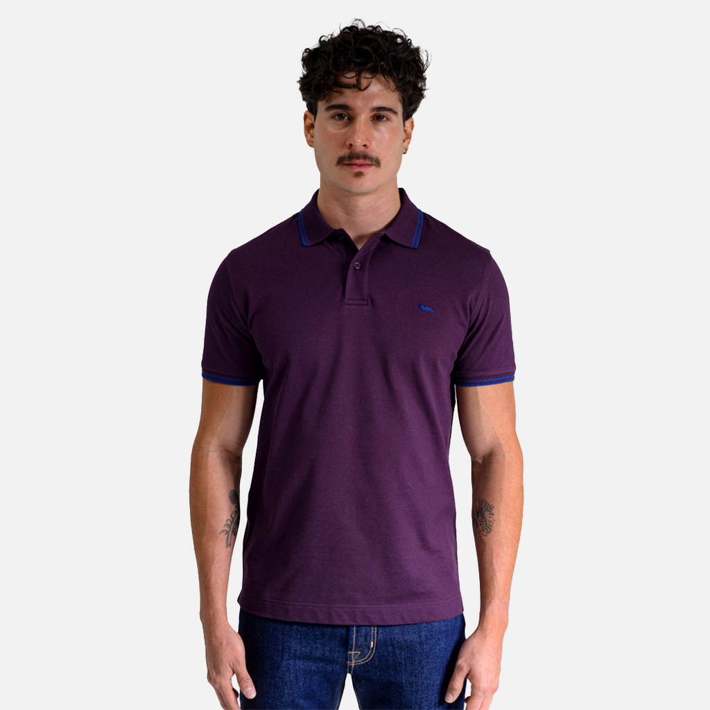 CAMISETA POLO HARMONT & BLAINE MORADO ALGODON (LNM010021148-588)