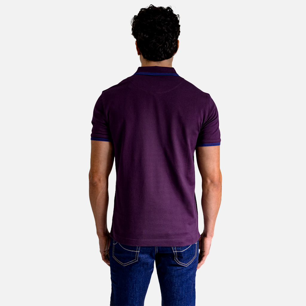CAMISETA POLO HARMONT & BLAINE MORADO ALGODON (LNM010021148-588)