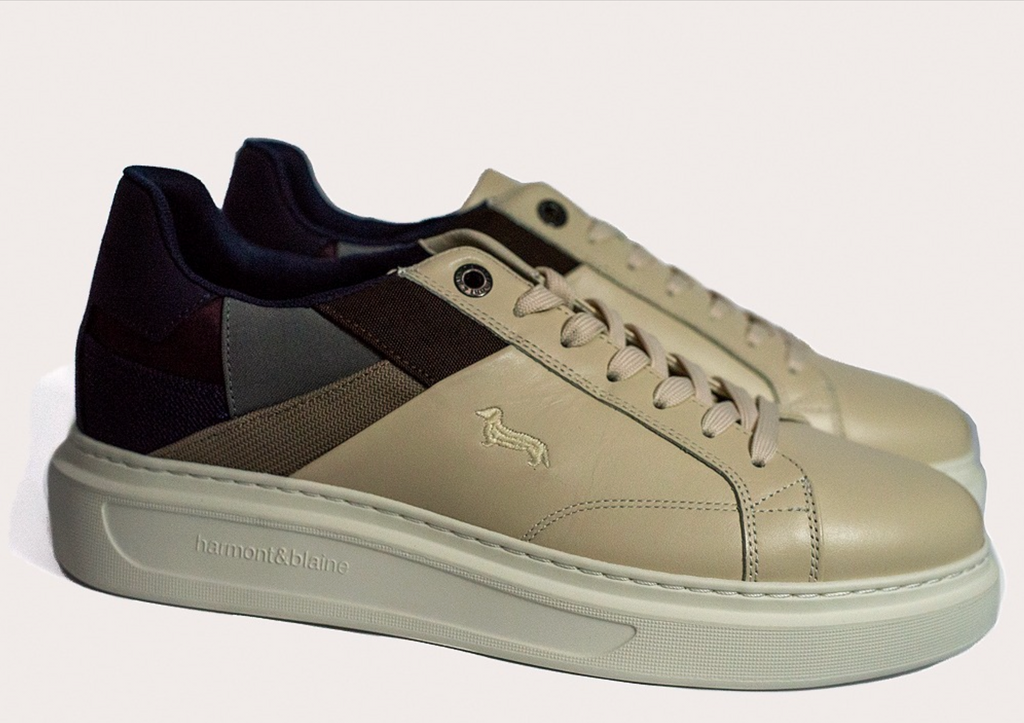 TENIS H&B SHOES BEIGE MULTICOLOR CUERO (EFM2420026470)