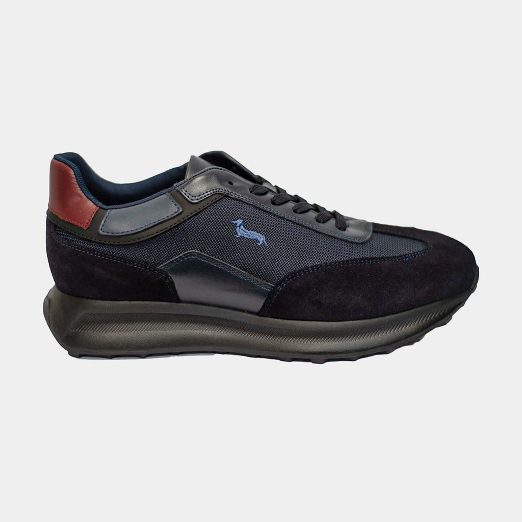 TENIS H&B SHOES AZUL GAMUZA (EFM2420916270)