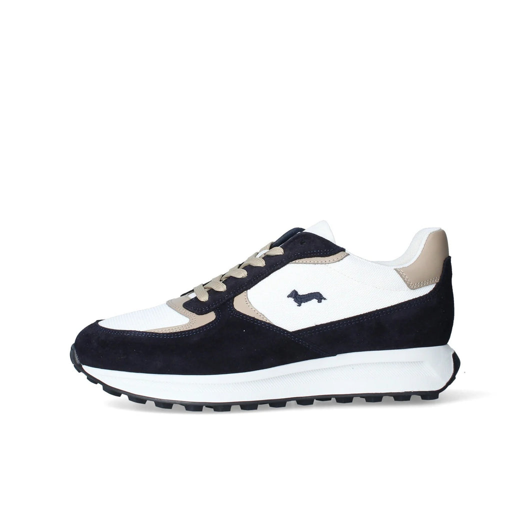 Tenis Azul/Blanco Hombre H&B.