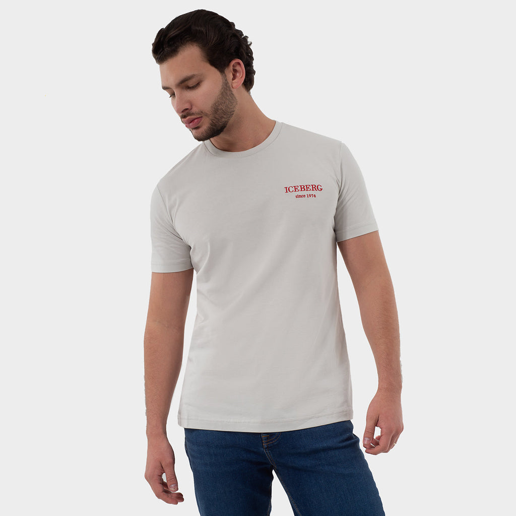 Camiseta Gris Hombre L.