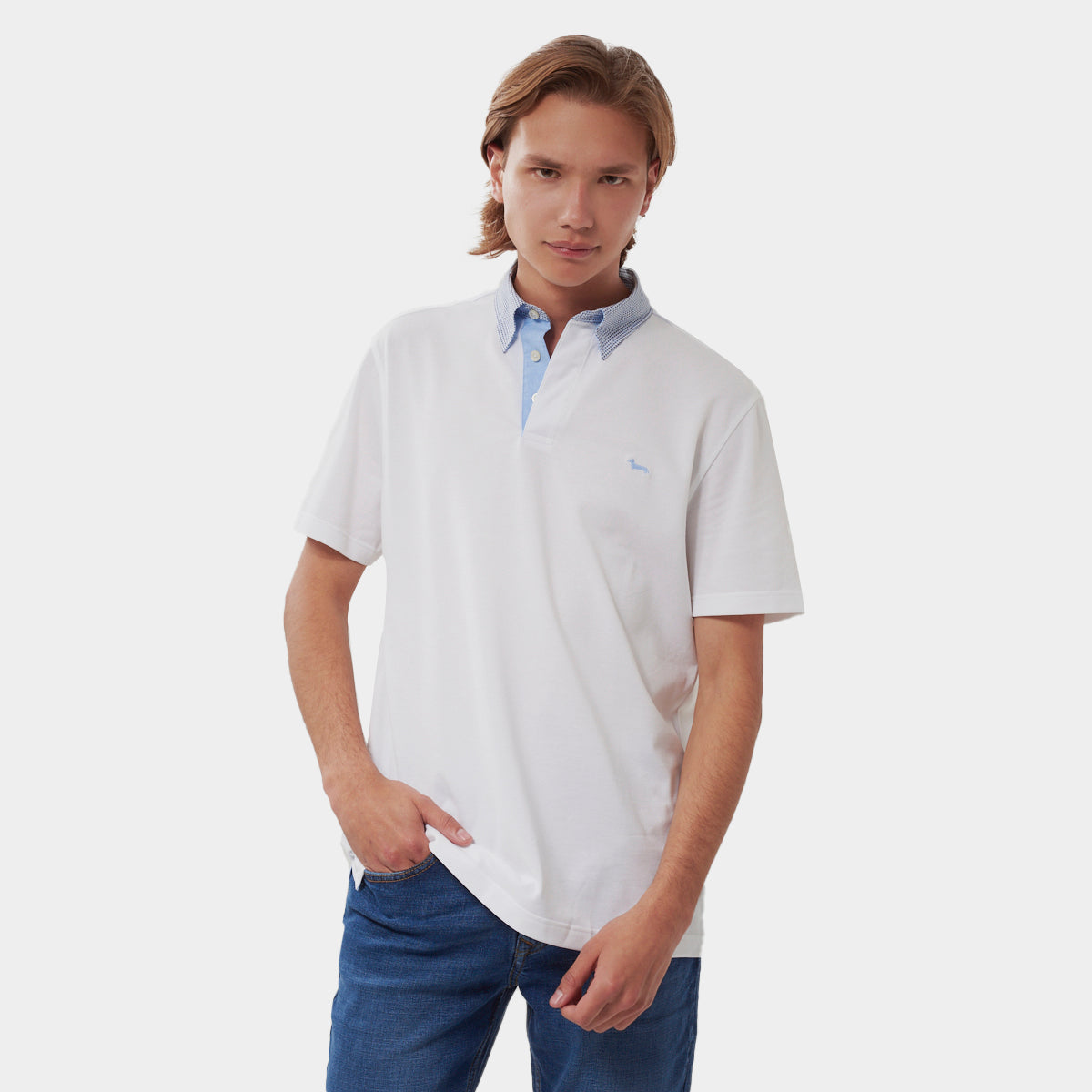 CAMISETA POLO HARMONT & BLAINE  (LRI003020746S01-100)