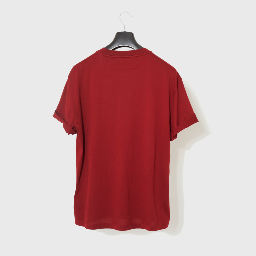 CAMISETA T-SHIRT ZEGNA (VZ372-ZZ651L-6L1)