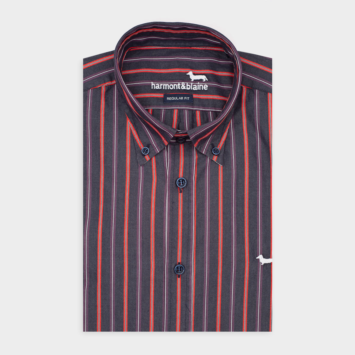 CAMISA SPORT HARMONT & BLAINE (CRI011012062M-501)